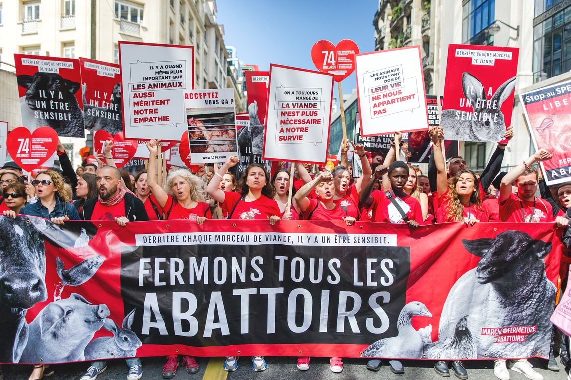 Marche pour la fermeture des abattoirs PARIS 2019